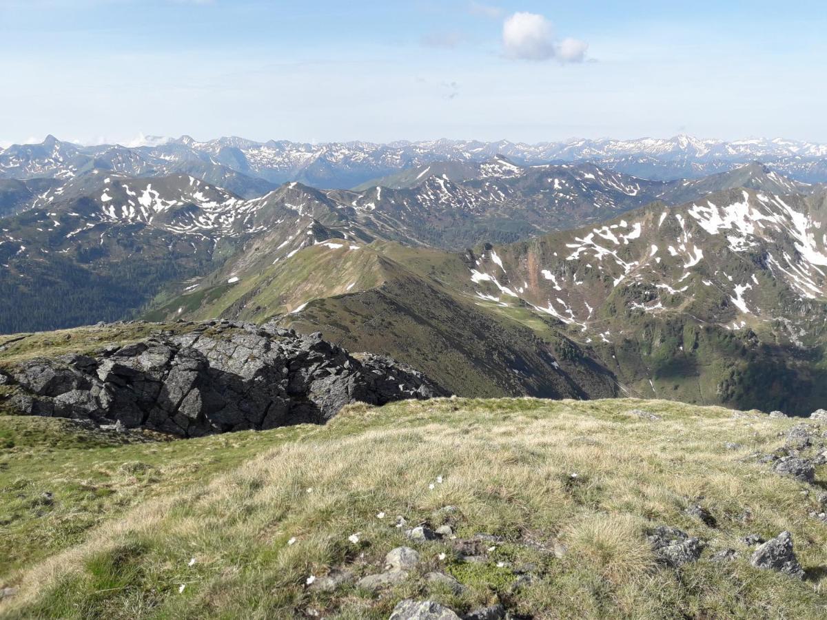 Ferienhaus Berger Aigen im Ennstal Exterior foto