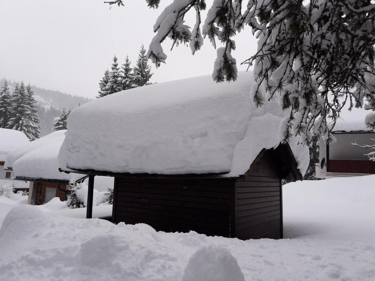 Ferienhaus Berger Aigen im Ennstal Exterior foto