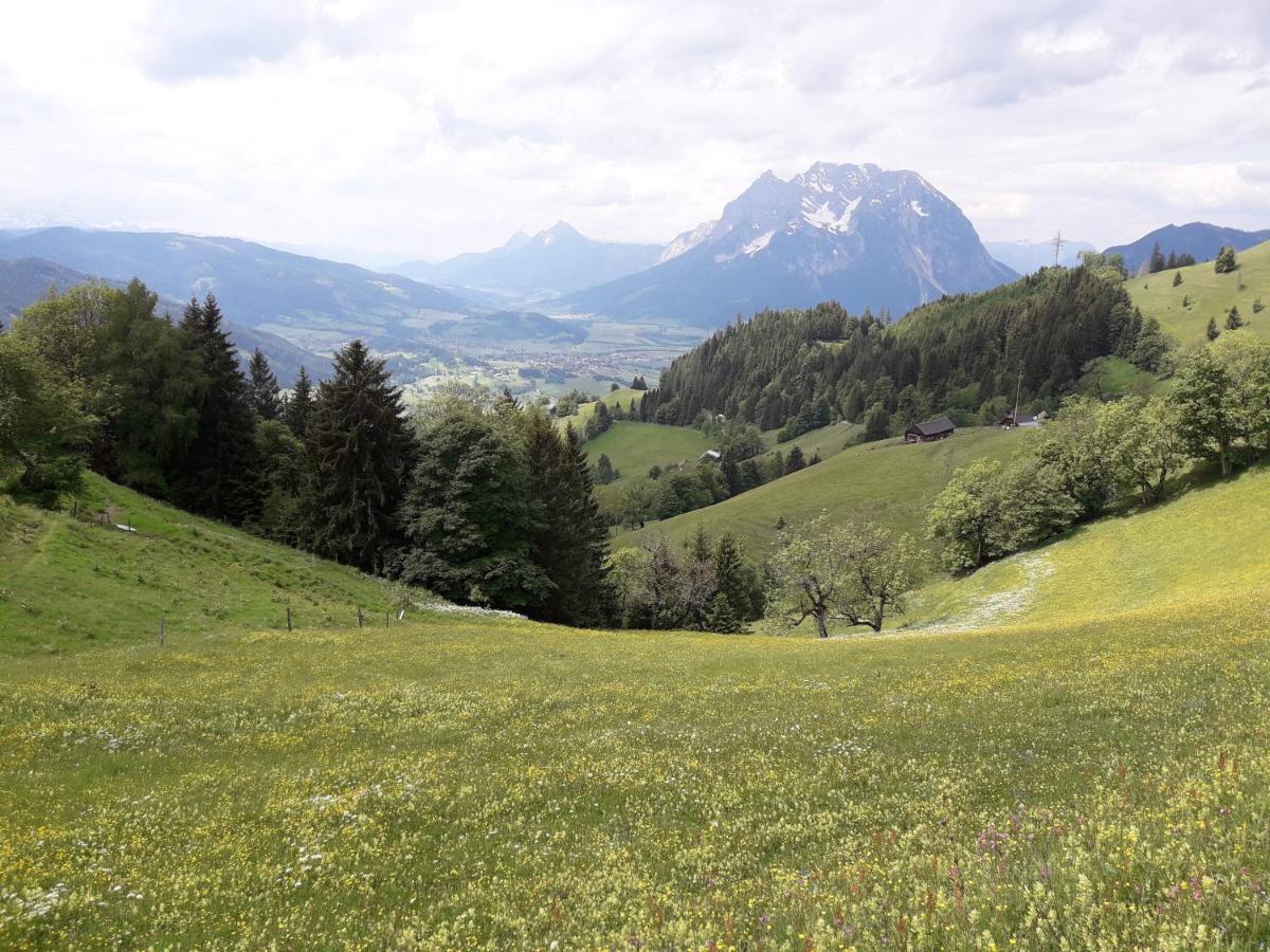 Ferienhaus Berger Aigen im Ennstal Exterior foto